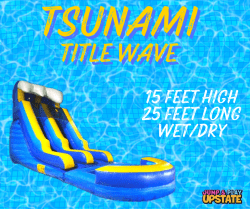 Tsunami Title Wave 15' Wet/dry